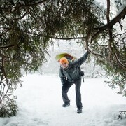 ���������� ���, ���� ������� ������, 31 ���, ������������ ��� ������, ����� � ���������, c�������� ���������, ���������