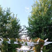 ���������� �����, ���� ������� ��������, 41 ���, ������������ 