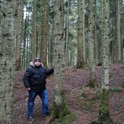  ,   , 36 ,   c 
