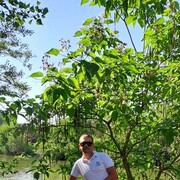 ���������� ������-��-����, ���� ������� ����, 36 ���, ������������ ��� ������, ����� � ���������