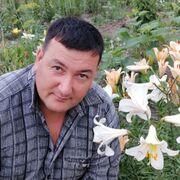  ,   , 43 ,   ,   