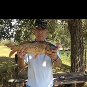 ���������� ��������, ���� ������� ����������, 63 ����, ������������ ��� c�������� ���������