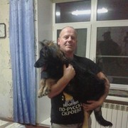  -,   , 53 ,   