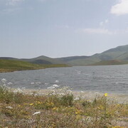  ,  Gevorg, 31
