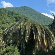 ���������� ������, ���� ������� ������, 30 ���, ������������ ��� ������, ����� � ���������, c�������� ���������, ���������