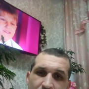   ,   , 41 ,  