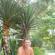  -,   , 53 ,   ,   , c 