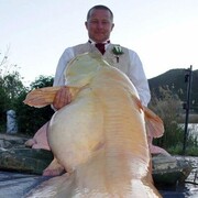 ���������� ������, ���� ������� ���������, 32 ����, ������������ ��� ������, ����� � ���������, ���������