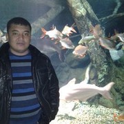  ,   Jild, 46 ,  