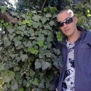 ���������� �������, ���� ������� ���������, 41 ���, ������������ ��� ����� � ���������, c�������� ���������