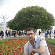  ,   Zahi, 40 ,   ,   , c 