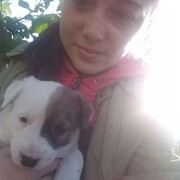 ���������� ��������, ���� ������� ����, 24 ����, ������������ ��� ����� � ���������, c�������� ���������