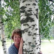  -,   , 55 ,   ,   , c 