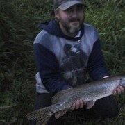 ���������� �����������, ���� ������� �����, 43 ����, ������������ ��� ������, ����� � ���������, c�������� ���������