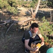 ���������� ����������, ���� ������� �������, 39 ���, ������������ ��� ������, ����� � ���������, c�������� ���������, ���������