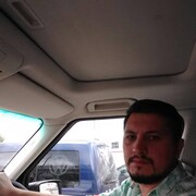  Jelcz,  , 43