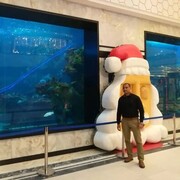 ���������� Al Ghardaqah, ���� ������� Hossam, 47 ���, ������������ ��� ������, ����� � ���������