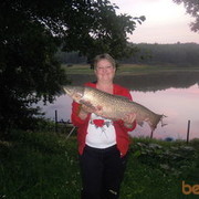 ���������� �������������, ���� ������� ���������, 64 ����, ������������ ��� ������, ����� � ���������, c�������� ���������