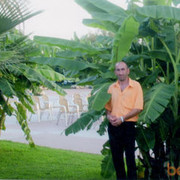  ,   , 49 ,   ,   , c 