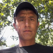 ���������� �����-���������, ���� ������� Sardor, 41 ���, ������������ ��� ������, ����� � ���������, c�������� ���������, ���������