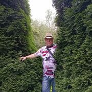 ���������� ������, ���� ������� ����, 58 ���, ������������ ��� ����� � ���������, c�������� ���������, ���������