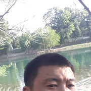  ,  , 41