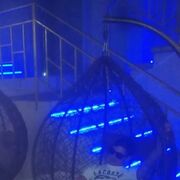 ���������� �����������, ���� ������� ���������, 31 ���, ������������ ��� ������, ����� � ���������