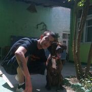 ���������� ������, ���� ������� ���������, 36 ���, ������������ ��� ������, ����� � ���������, c�������� ���������, ���������