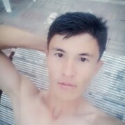 ���������� �������, ���� ������� Wirus, 34 ����, ������������ ��� ������, ����� � ���������, c�������� ���������