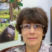  --,   , 54 ,     , c 