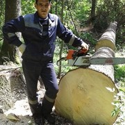 ���������� ������, ���� ������� ���, 47 ���, ������������ ��� ������, ���������