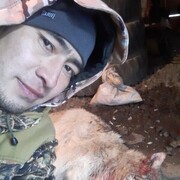 ���������� ���������, ���� ������� Megnas, 35 ���, ������������ ��� ������, ����� � ���������, c�������� ���������