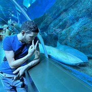 ���������� �����-���������, ���� ������� �������, 36 ���, ������������ ��� ������, ����� � ���������, c�������� ���������