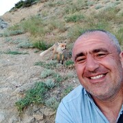  ,   , 47 ,   ,   , 