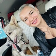 ���������� ���������, ���� ������� ����, 41 ���, ������������ ��� ������, ����� � ���������