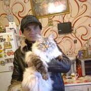  ,   , 43 ,     , c , 