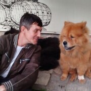 ���������� ����������, ���� ������� ������, 47 ���, ������������ ��� ������, ����� � ���������, c�������� ���������, ���������