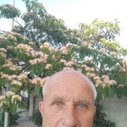  ,   , 58 ,   