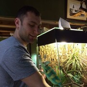 ���������� �����-���������, ���� ������� �������, 39 ���, ������������ ��� ����� � ���������, c�������� ���������