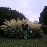 ���������� ������, ���� ������� �������, 67 ���, ������������ ��� ������, ����� � ���������, c�������� ���������