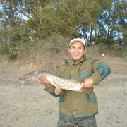  ,   Timur, 42 ,   