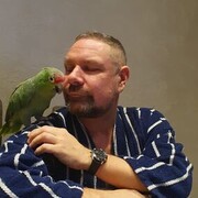 ���������� �����-���������, ���� ������� �������, 47 ���, ������������ ��� ������, ����� � ���������, c�������� ���������