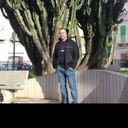  --,   , 43 ,   ,   