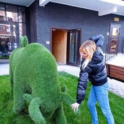 ���������� ���������, ���� ������� ������, 49 ���, ������������ ��� c�������� ���������