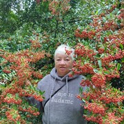 ,   , 70 ,   ,   