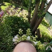  ,  Alexander, 34