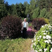 ���������� �����, ���� ������� ����, 75 ���, ������������ ��� ������, ����� � ���������