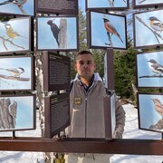 ���������� ������, ���� ������� ����, 37 ���, ������������ ��� ������, ����� � ���������, c�������� ���������, ���������