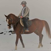 ���������� ������, ���� ����� Vazgen, 24 ����, ������������ ��� ������, ����� � ���������, c�������� ���������