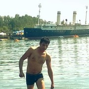 ���������� �������, ���� ������� Lion, 38 ���, ������������ ��� ������, ����� � ���������, c�������� ���������